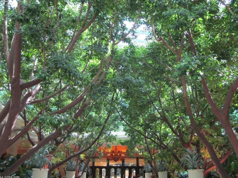 Garden Design